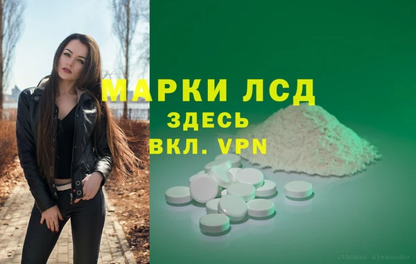 герыч Новозыбков