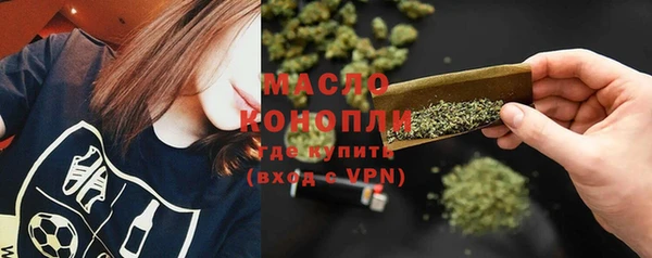 винт Абаза