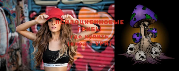 индика Абинск
