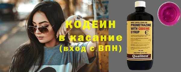 индика Абинск