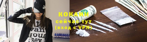 индика Абинск