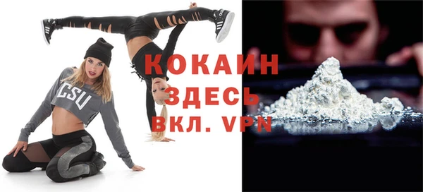 индика Абинск