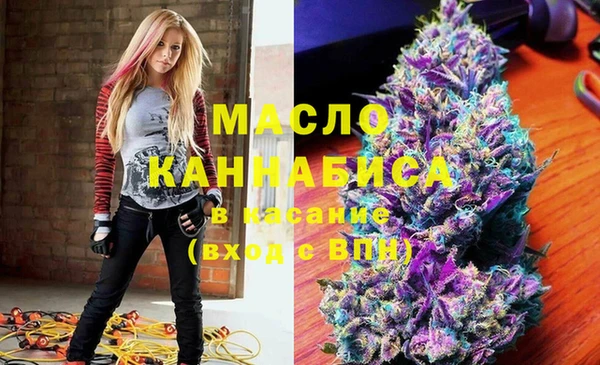 индика Абинск