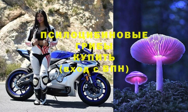 винт Абаза