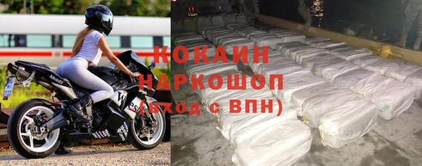 винт Абаза